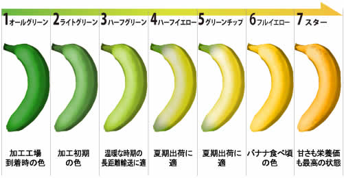 バナナカラーチャート